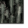 Dark Cacti | Landscape