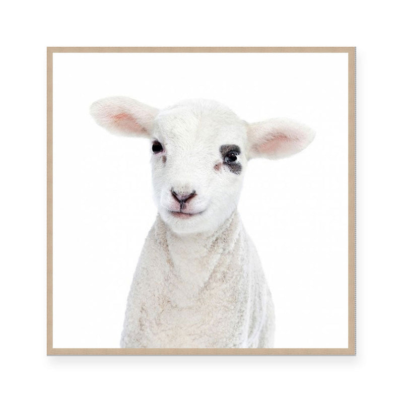 Lamb | Square