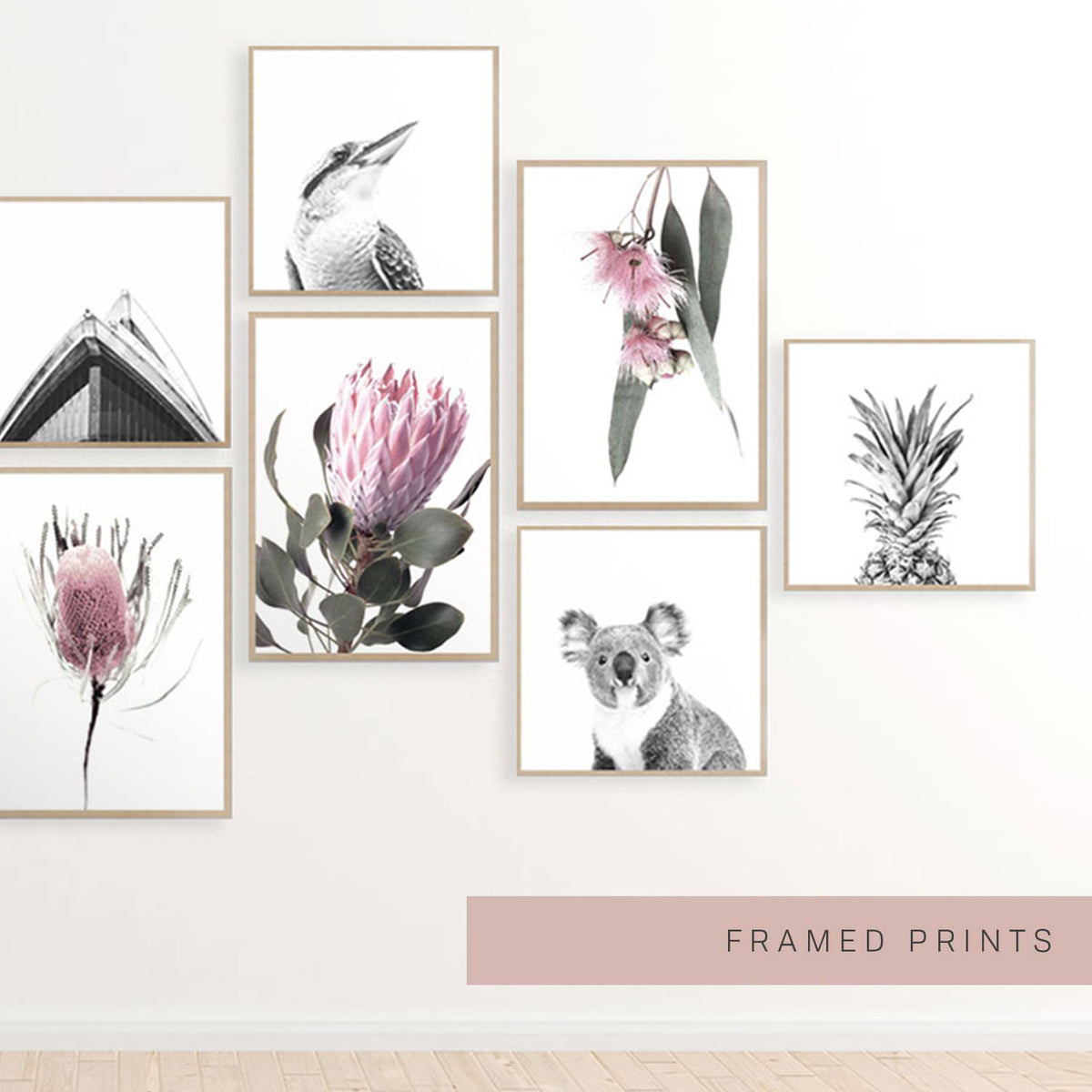 Print Collection