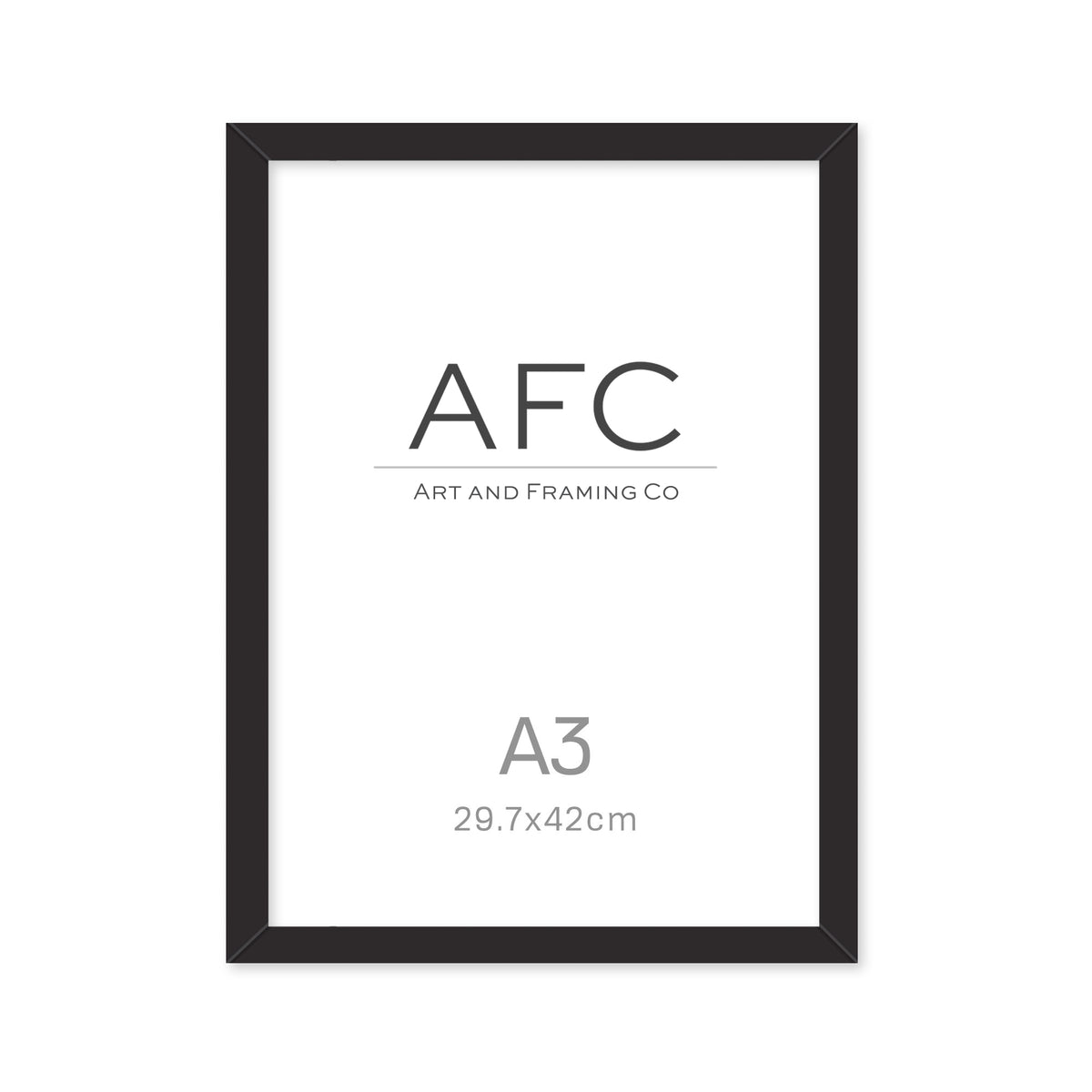 A3 Empty Frame