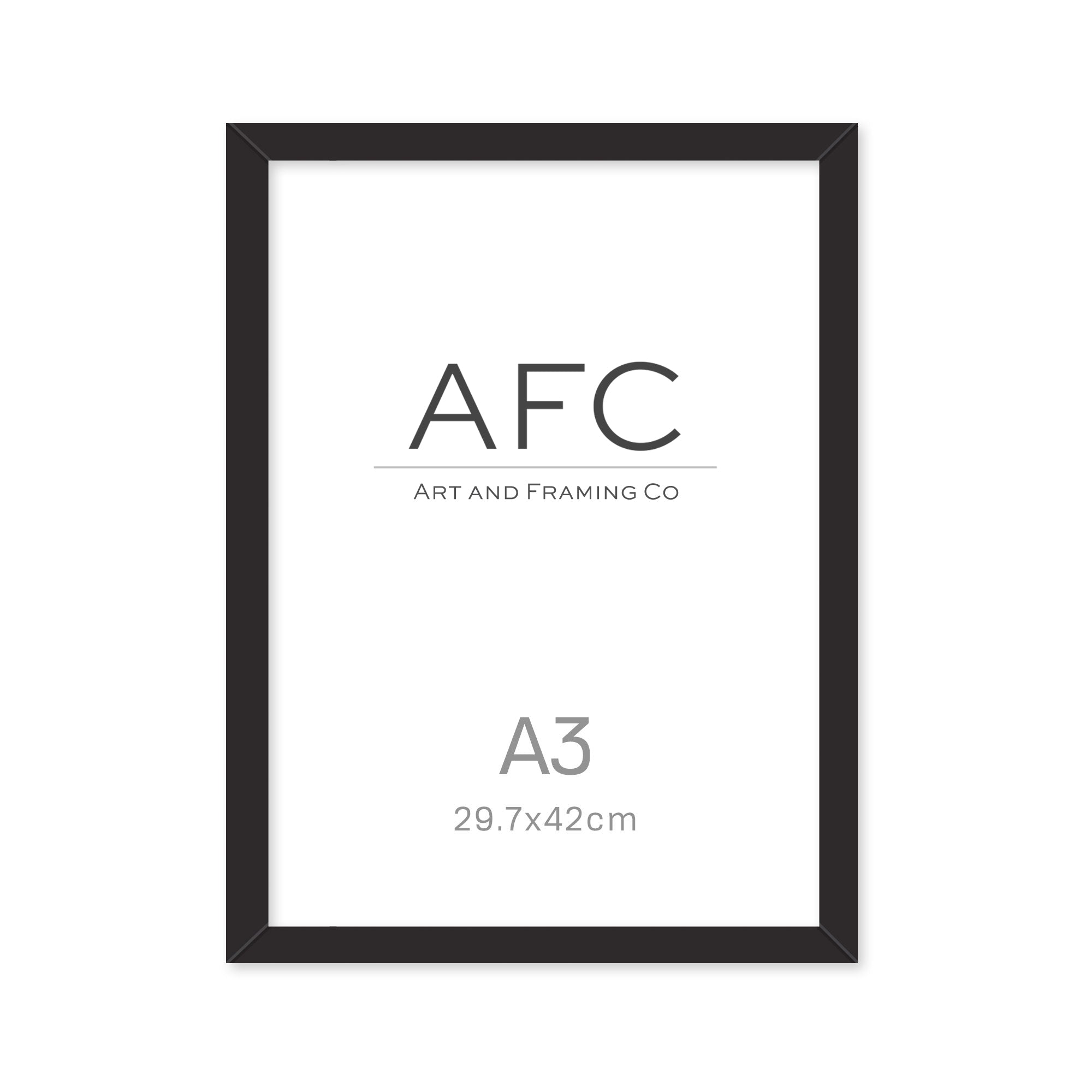 A3 Empty Frame