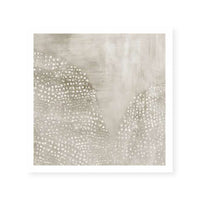 Allure II