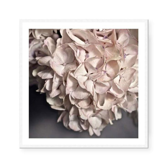 Annie | Katie Clulow