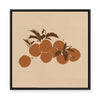 Apples | Framed Canvas