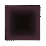 Ombré | Blackberry