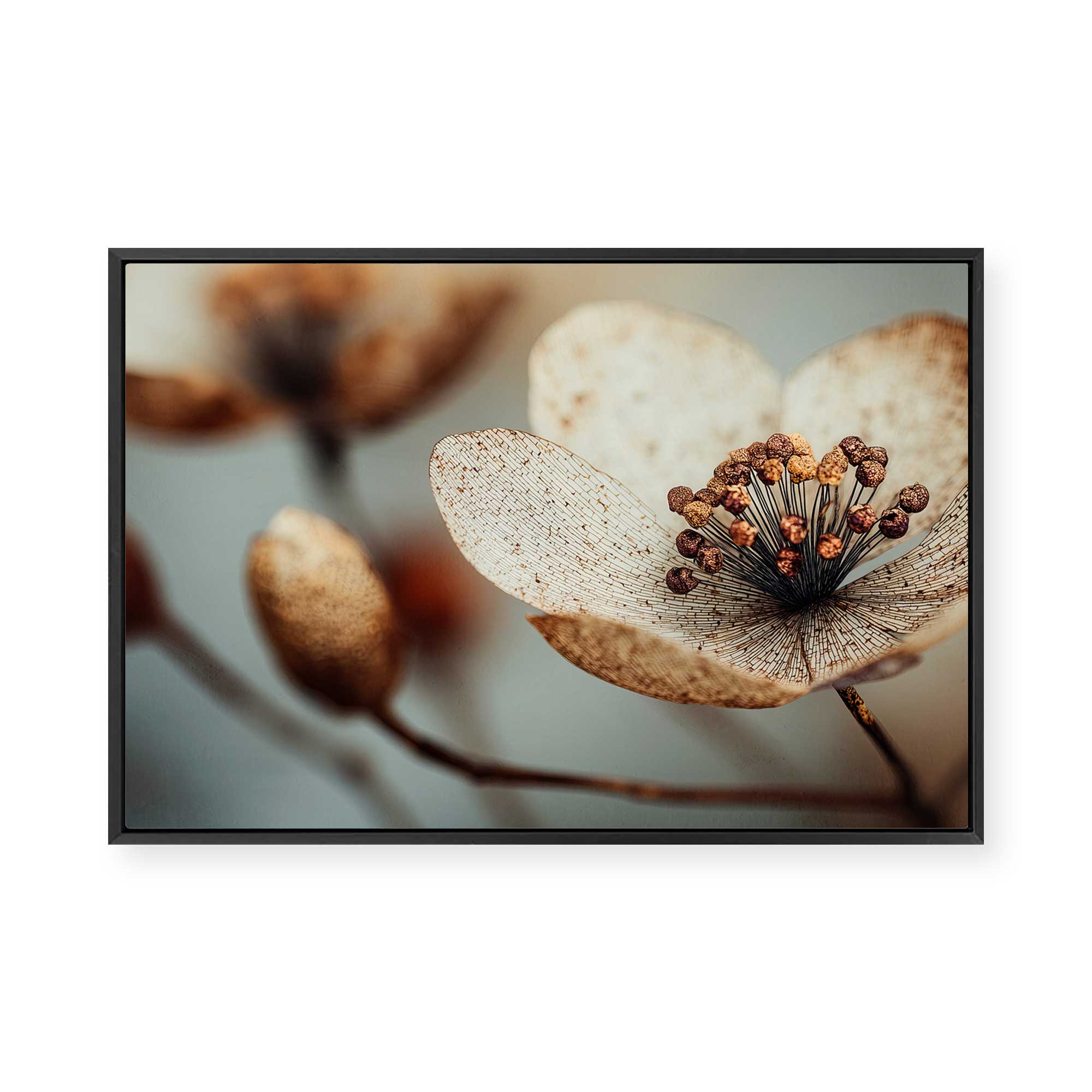 Bloom Memory No1 | Framed Canvas