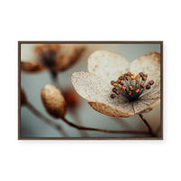 Bloom Memory No1 | Framed Canvas