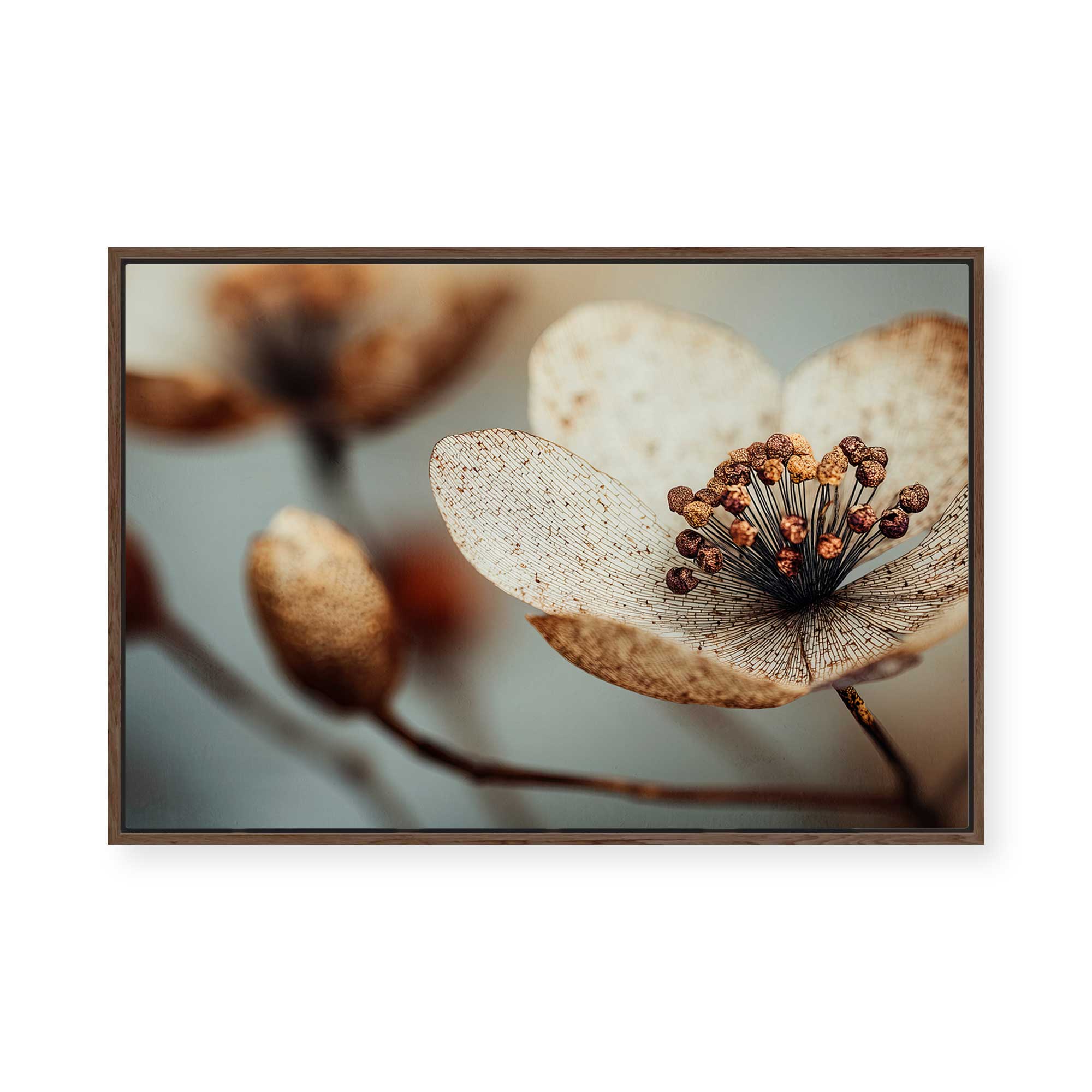 Bloom Memory No1 | Framed Canvas