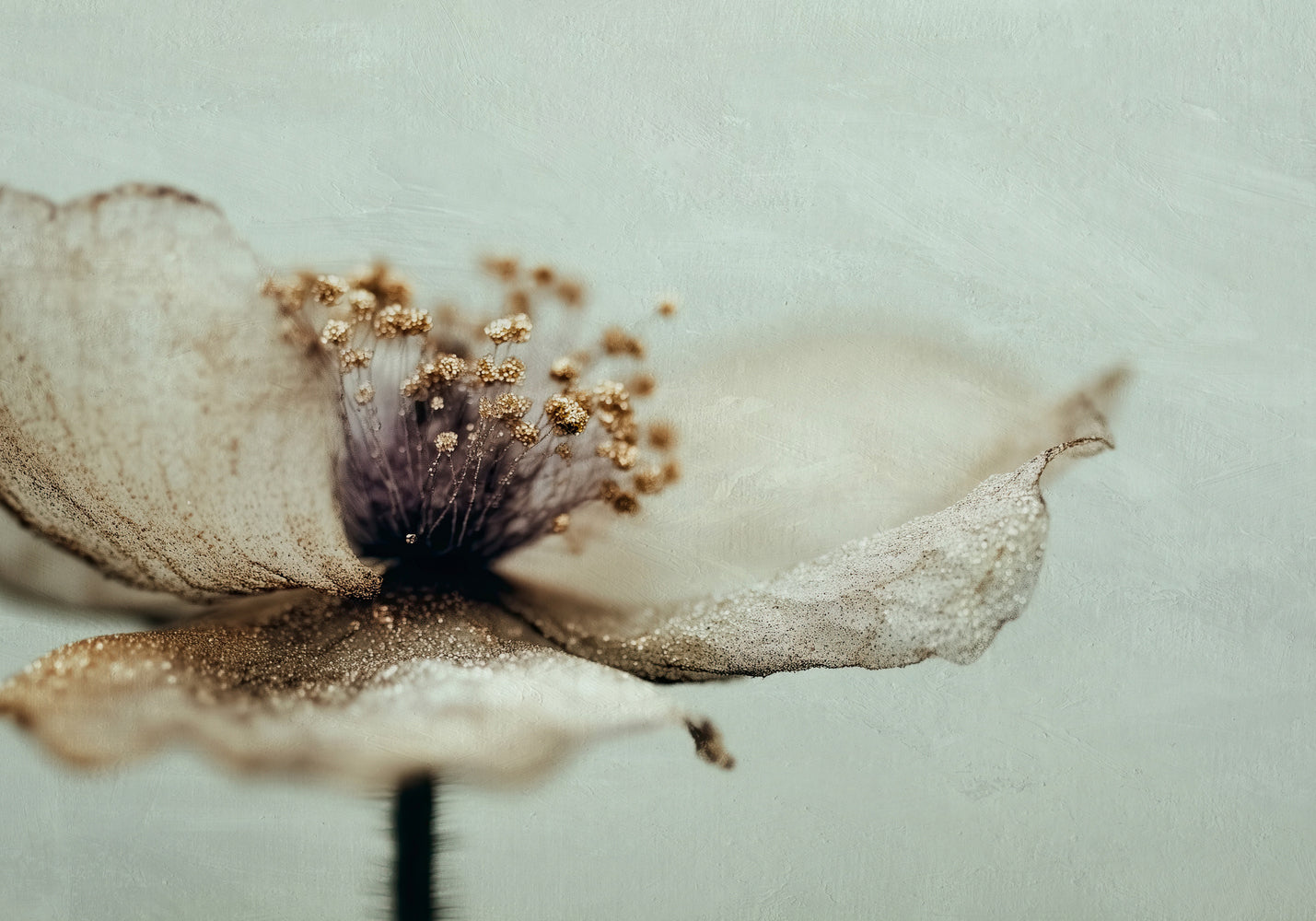 Bloom Memory No2