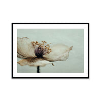 Bloom Memory No2