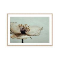 Bloom Memory No2