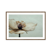 Bloom Memory No2