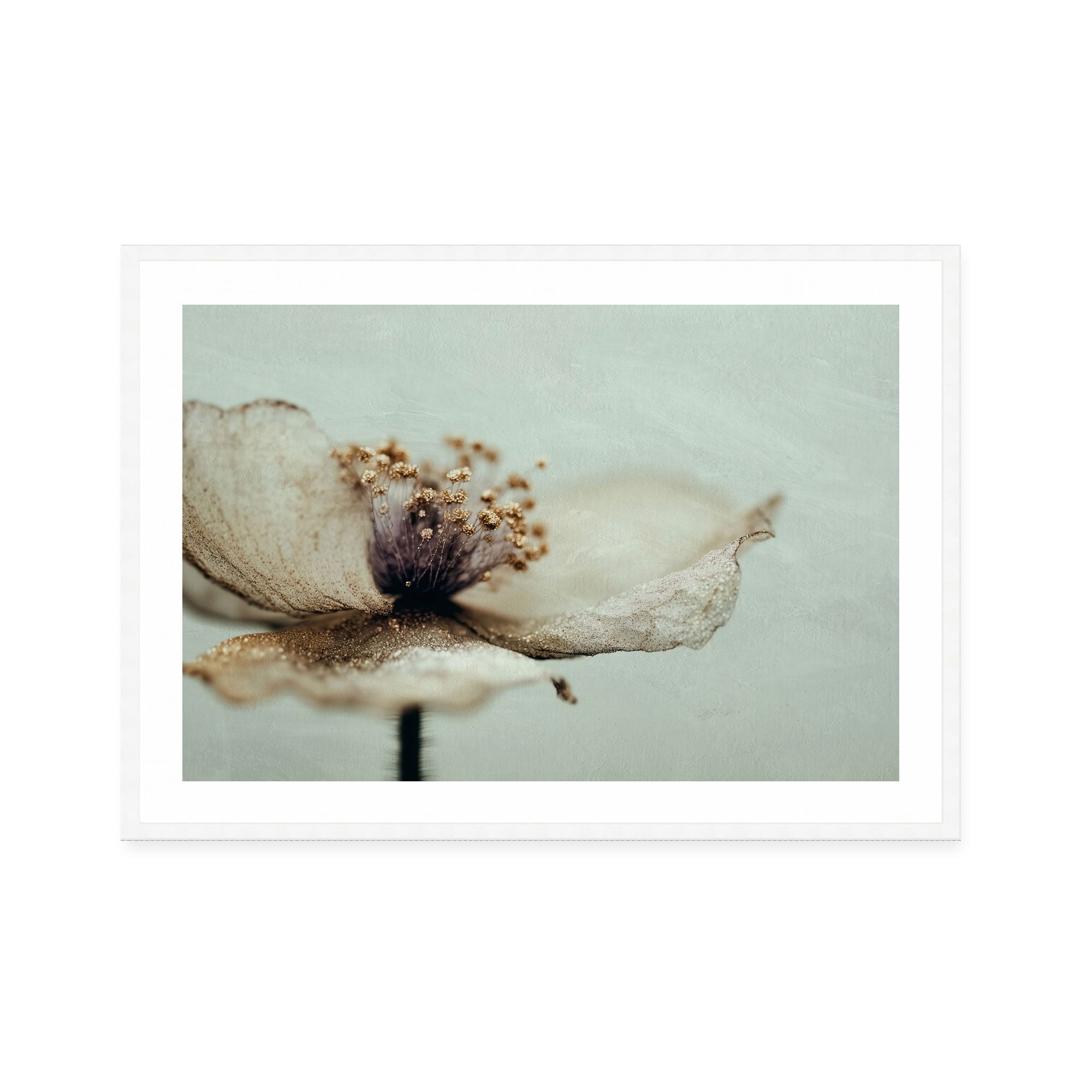 Bloom Memory No2