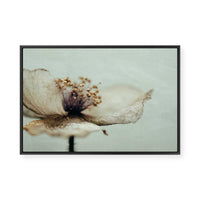 Bloom Memory No2 | Framed Canvas
