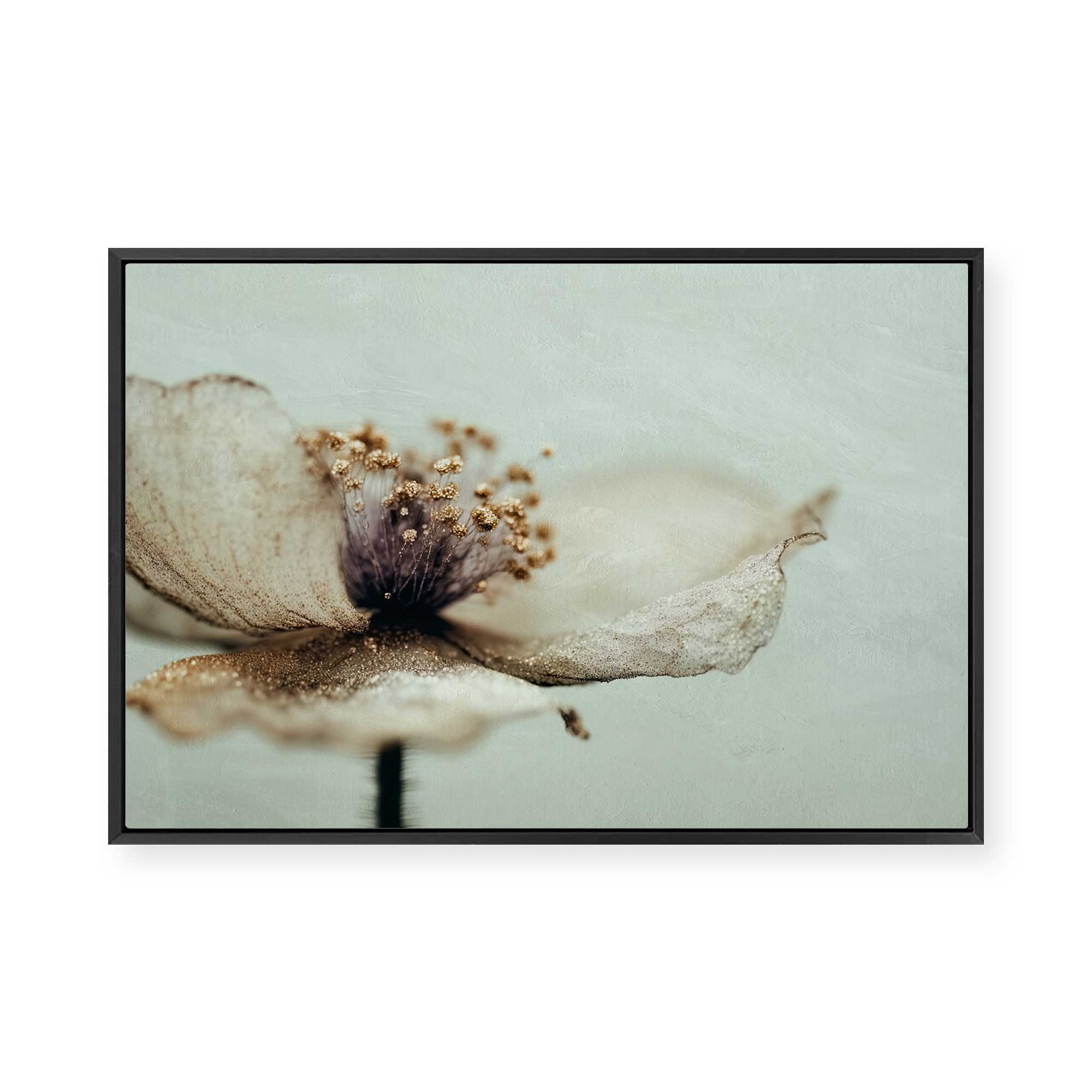 Bloom Memory No2 | Framed Canvas