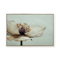 Bloom Memory No2 | Framed Canvas