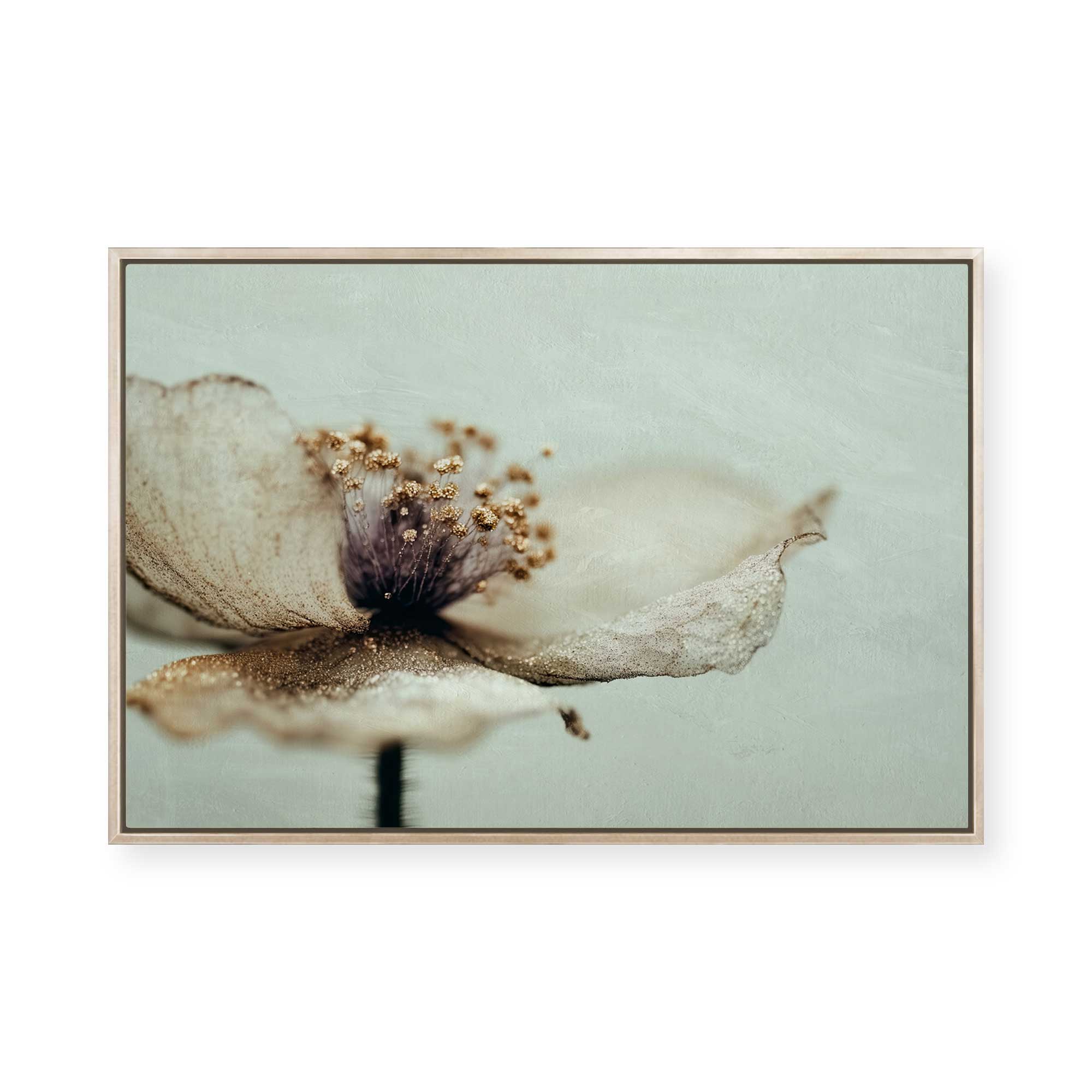 Bloom Memory No2 | Framed Canvas