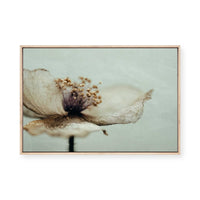 Bloom Memory No2 | Framed Canvas
