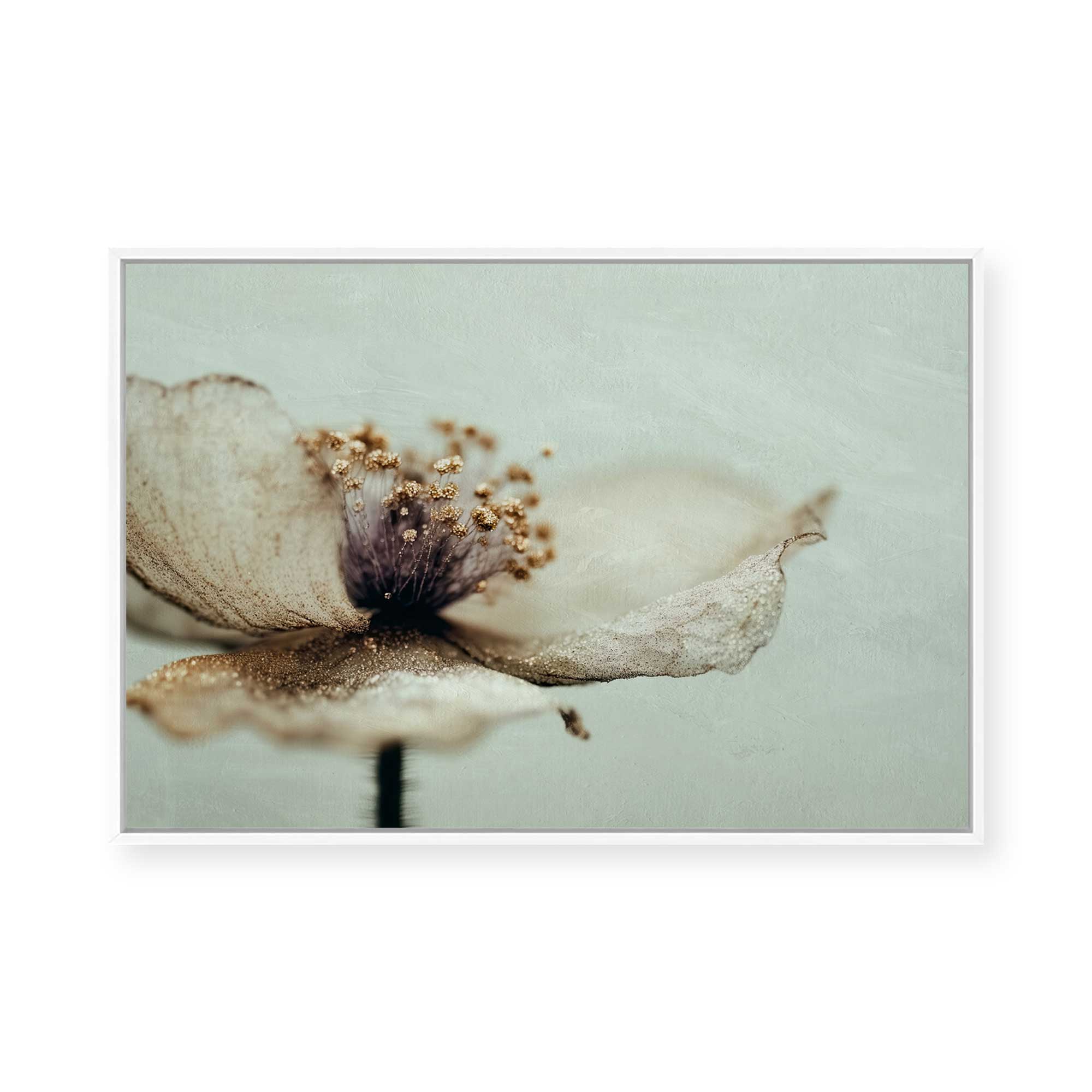 Bloom Memory No2 | Framed Canvas