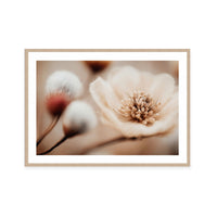 Bloom Memory No3