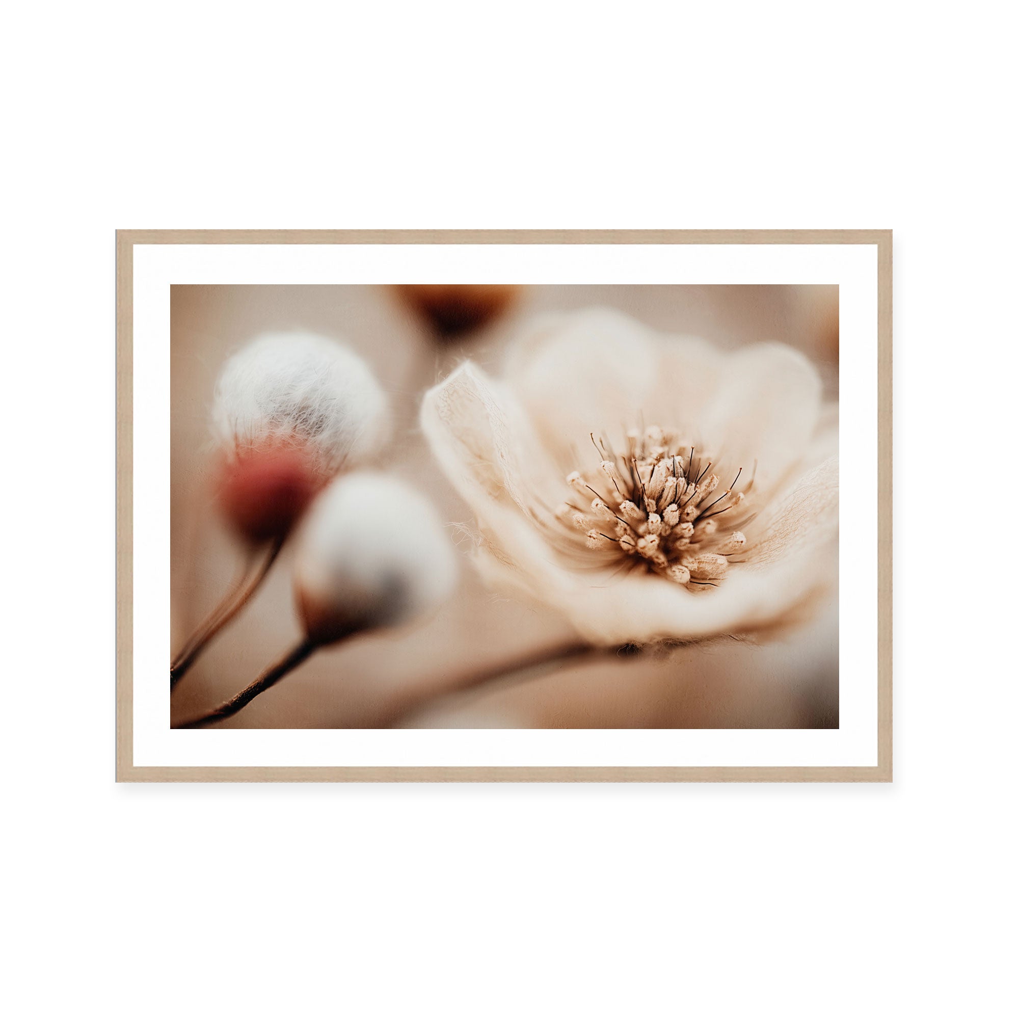 Bloom Memory No3