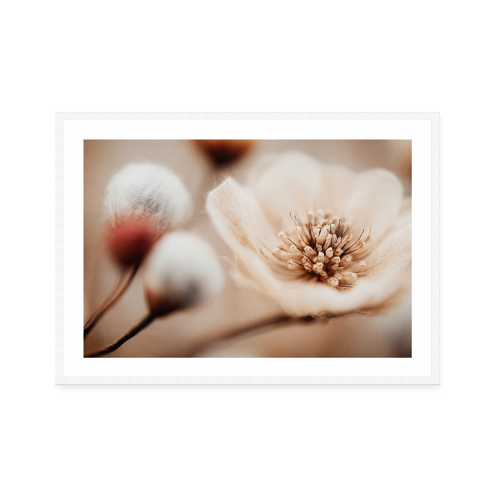 Bloom Memory No3