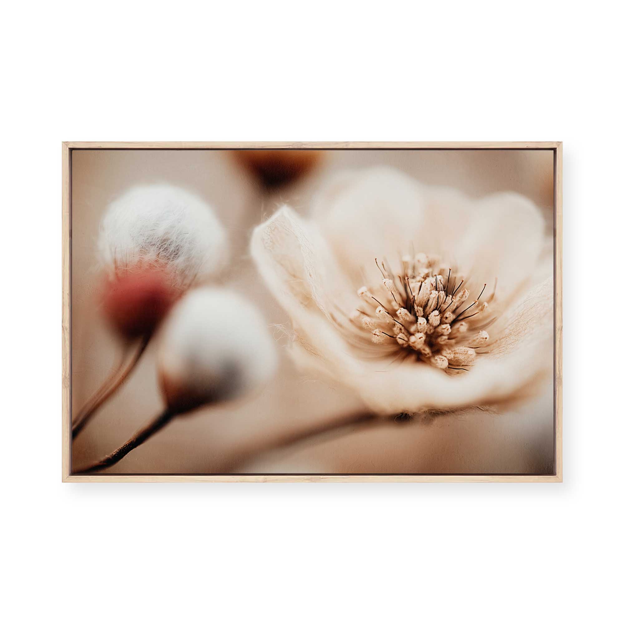 Bloom Memory No3 | Framed Canvas