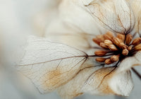 Bloom Memory No4