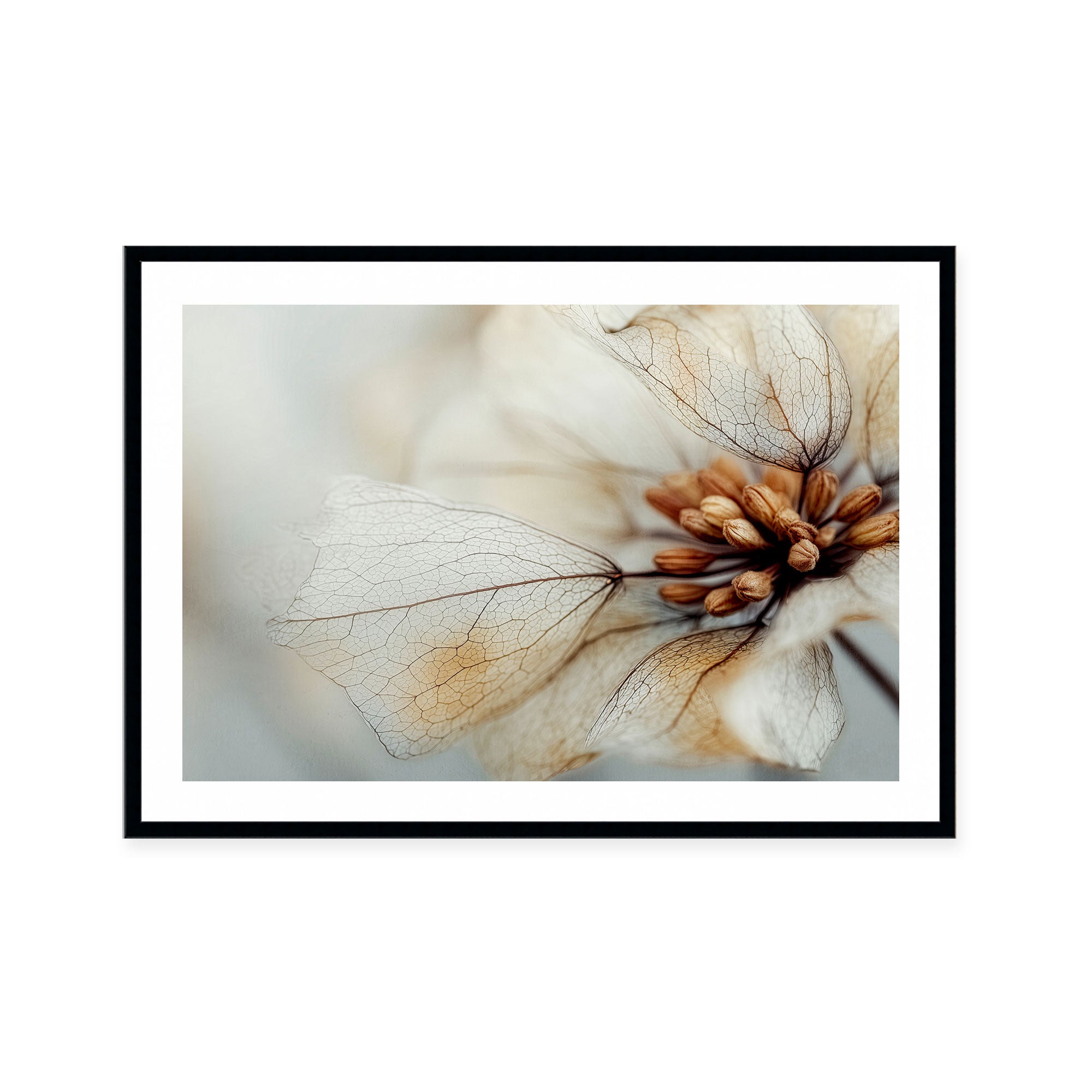 Bloom Memory No4