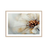 Bloom Memory No4