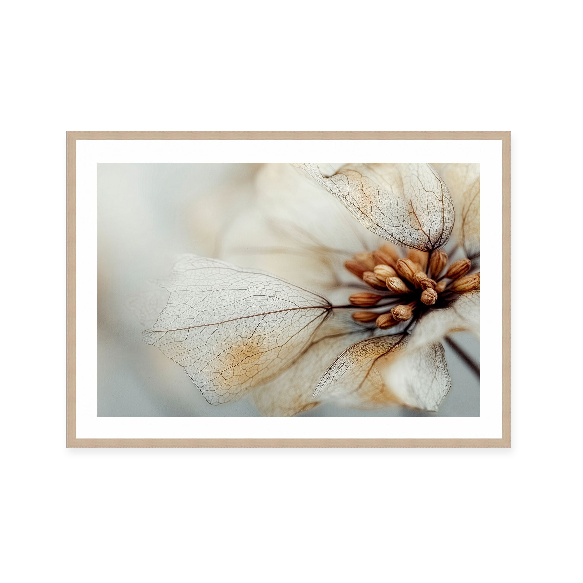 Bloom Memory No4