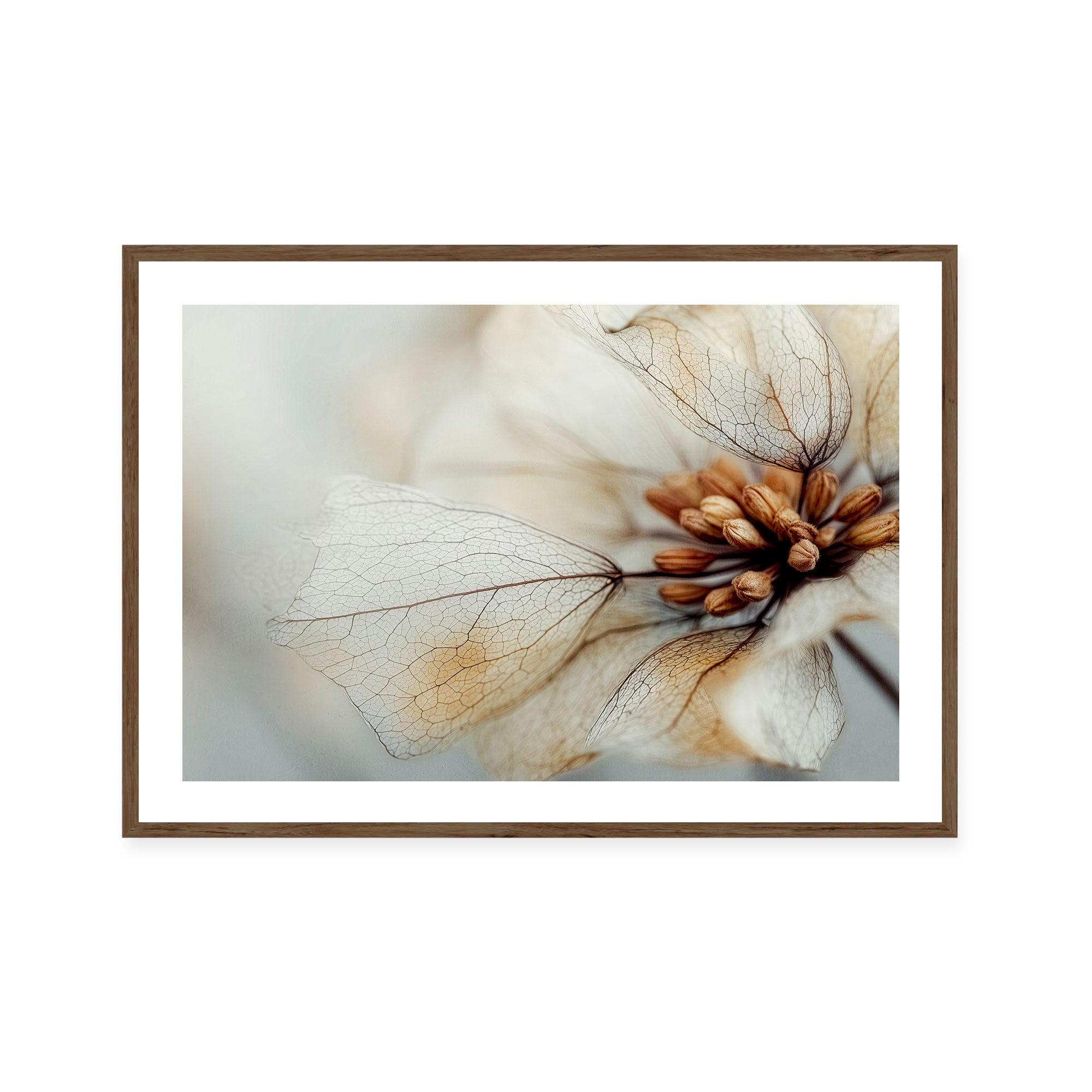Bloom Memory No4