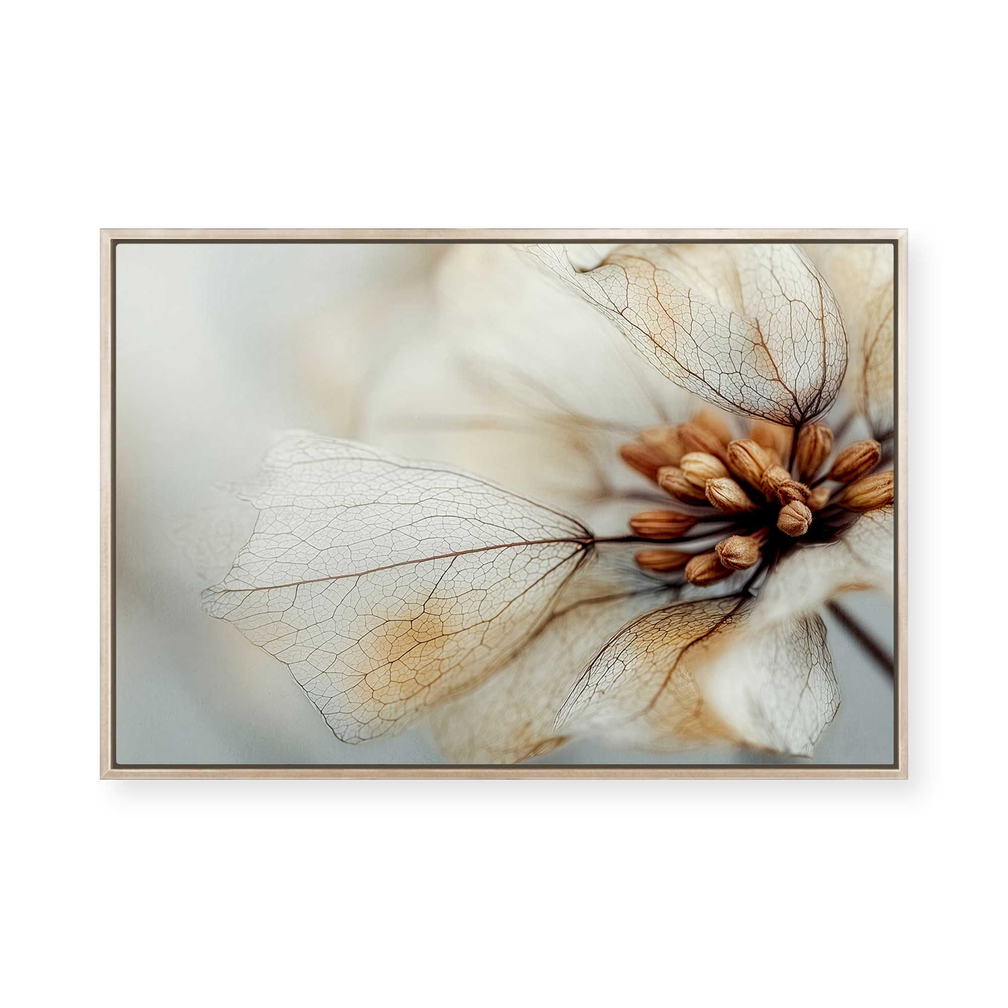 Bloom Memory No4 | Framed Canvas