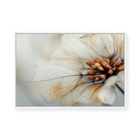 Bloom Memory No4 | Framed Canvas