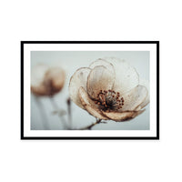 Bloom Memory No5