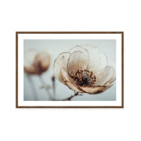 Bloom Memory No5