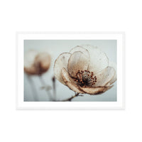 Bloom Memory No5