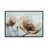 Bloom Memory No5 | Framed Canvas