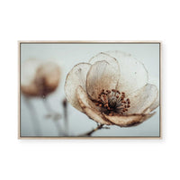 Bloom Memory No5 | Framed Canvas