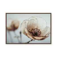 Bloom Memory No5 | Framed Canvas