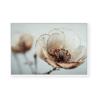 Bloom Memory No5 | Framed Canvas