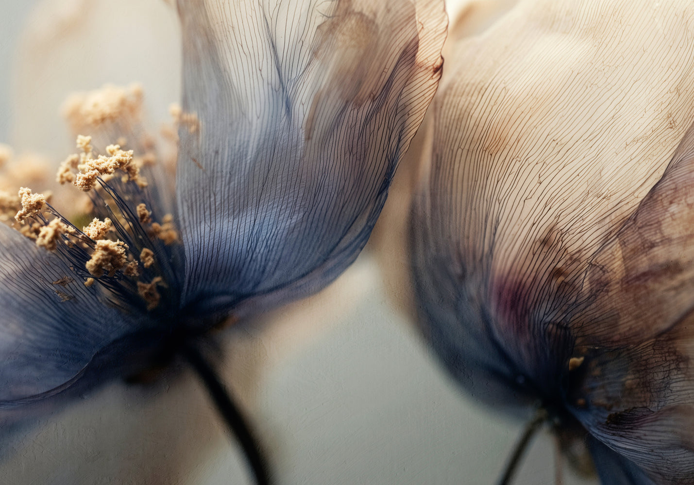 Bloom Memory No6