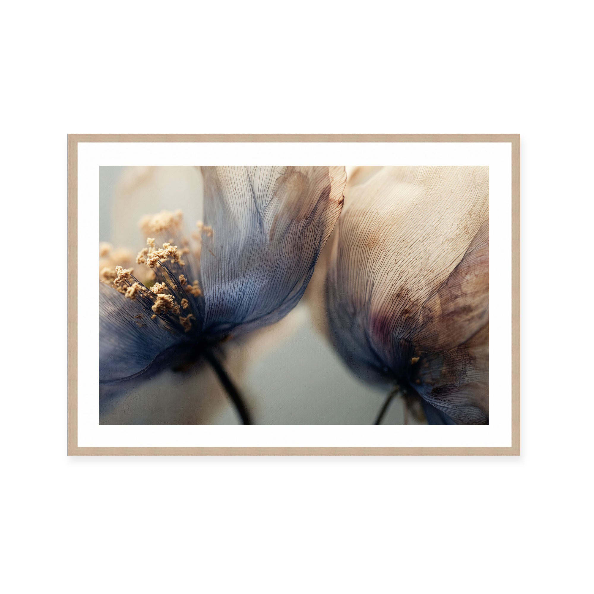 Bloom Memory No6