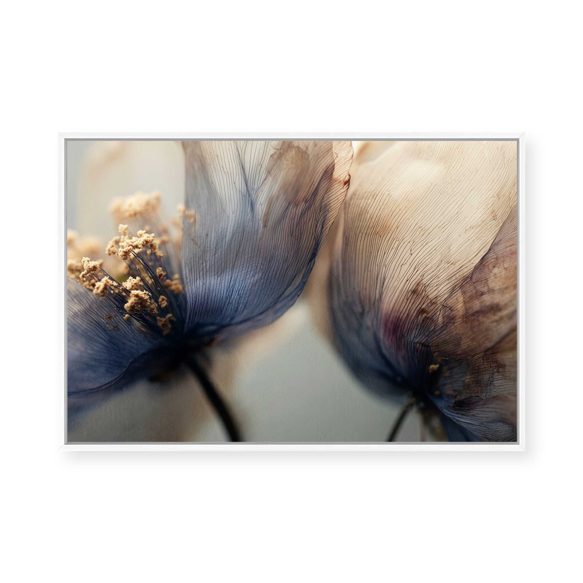 Bloom Memory No6 | Framed Canvas