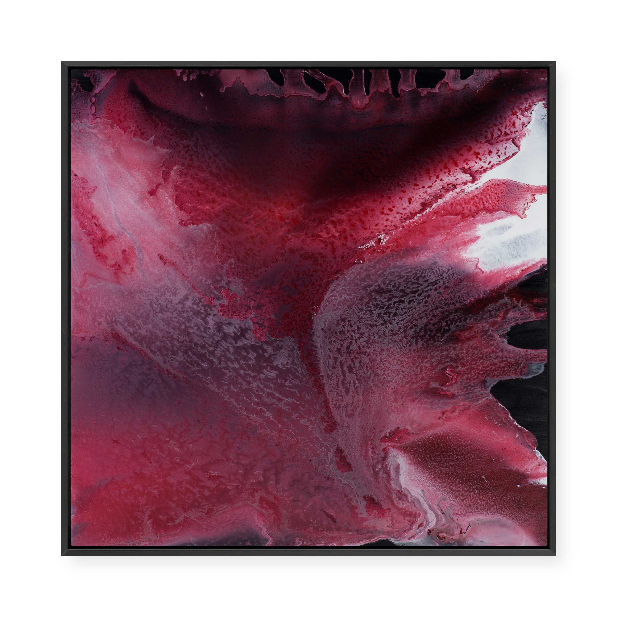 Blushing | Framed Canvas