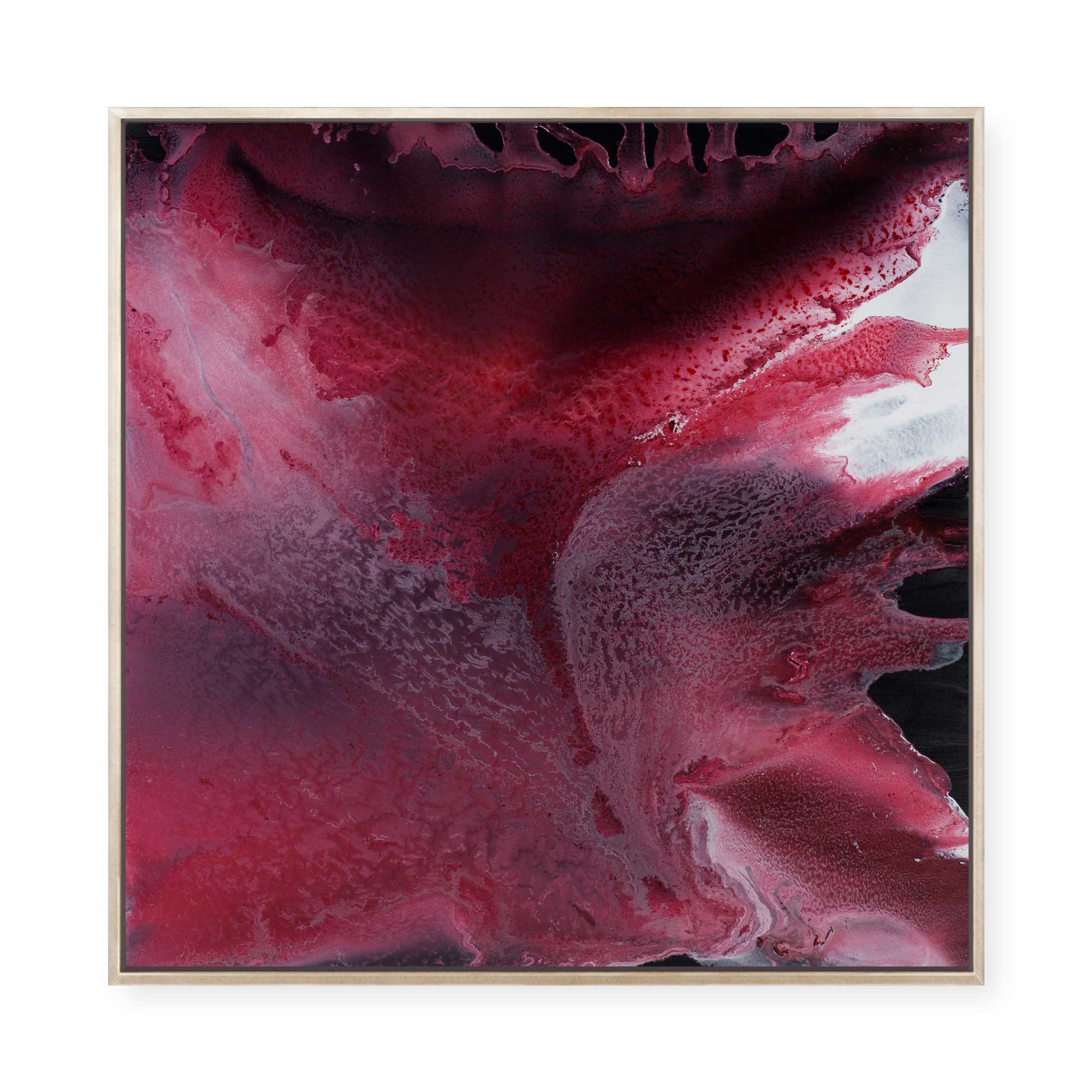 Blushing | Framed Canvas
