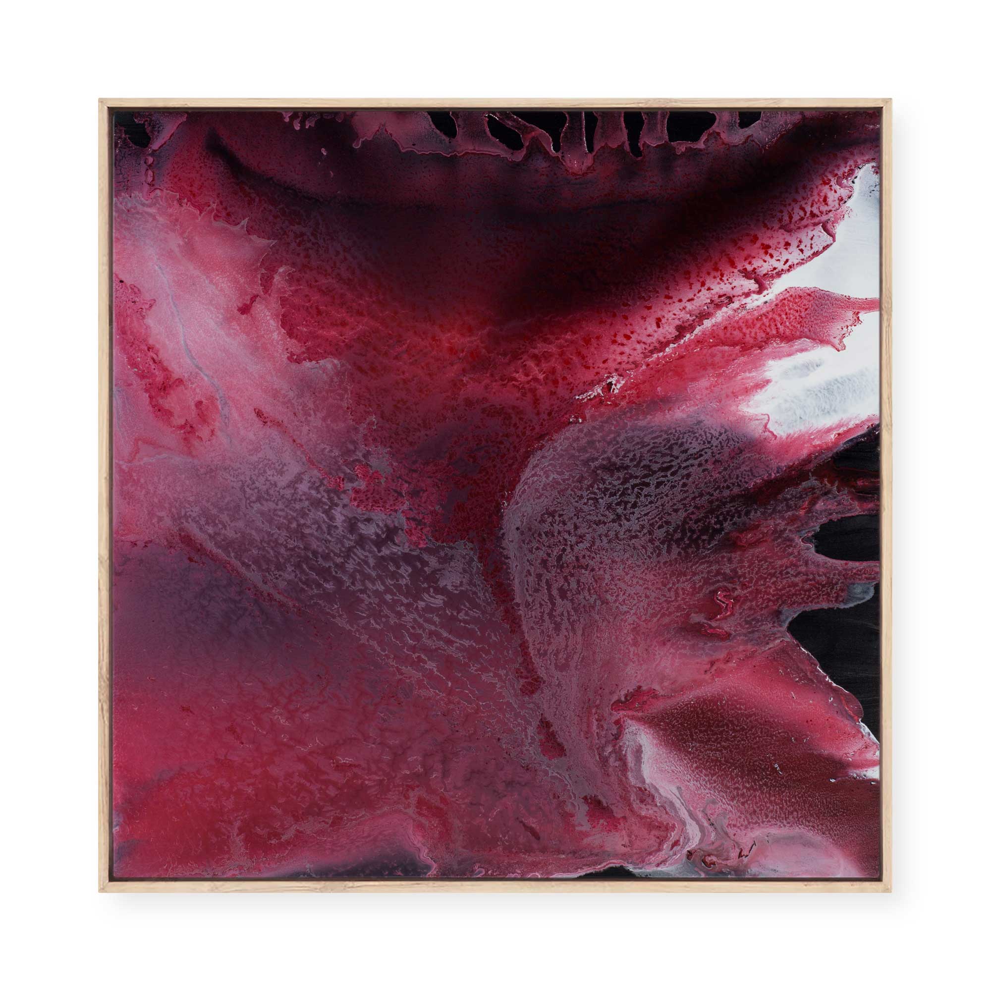Blushing | Framed Canvas