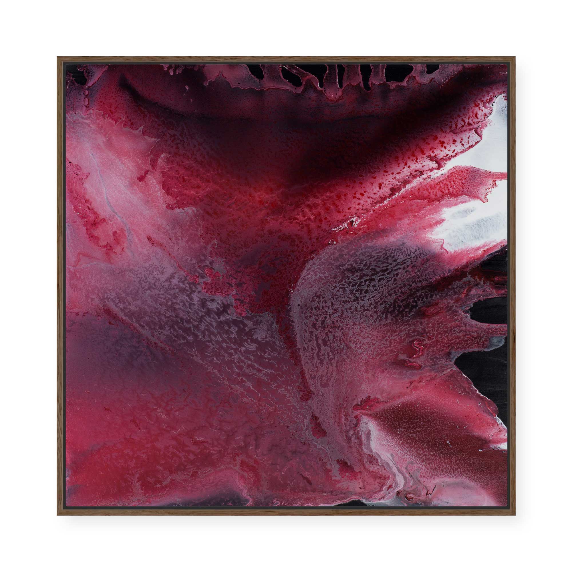 Blushing | Framed Canvas