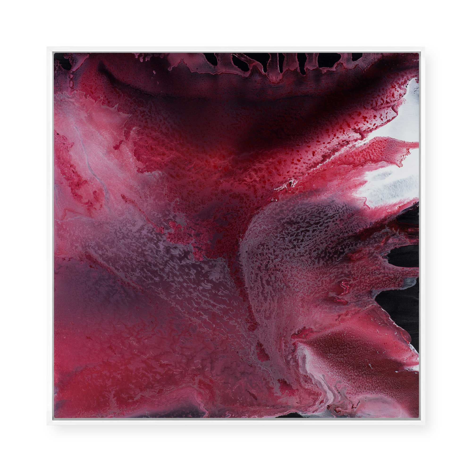 Blushing | Framed Canvas