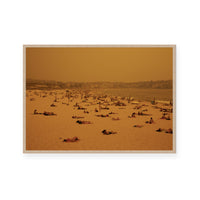 Bondi Black Summer | Limited Edition Print